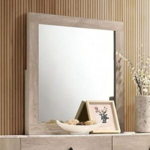 Elaina Dresser Mirror